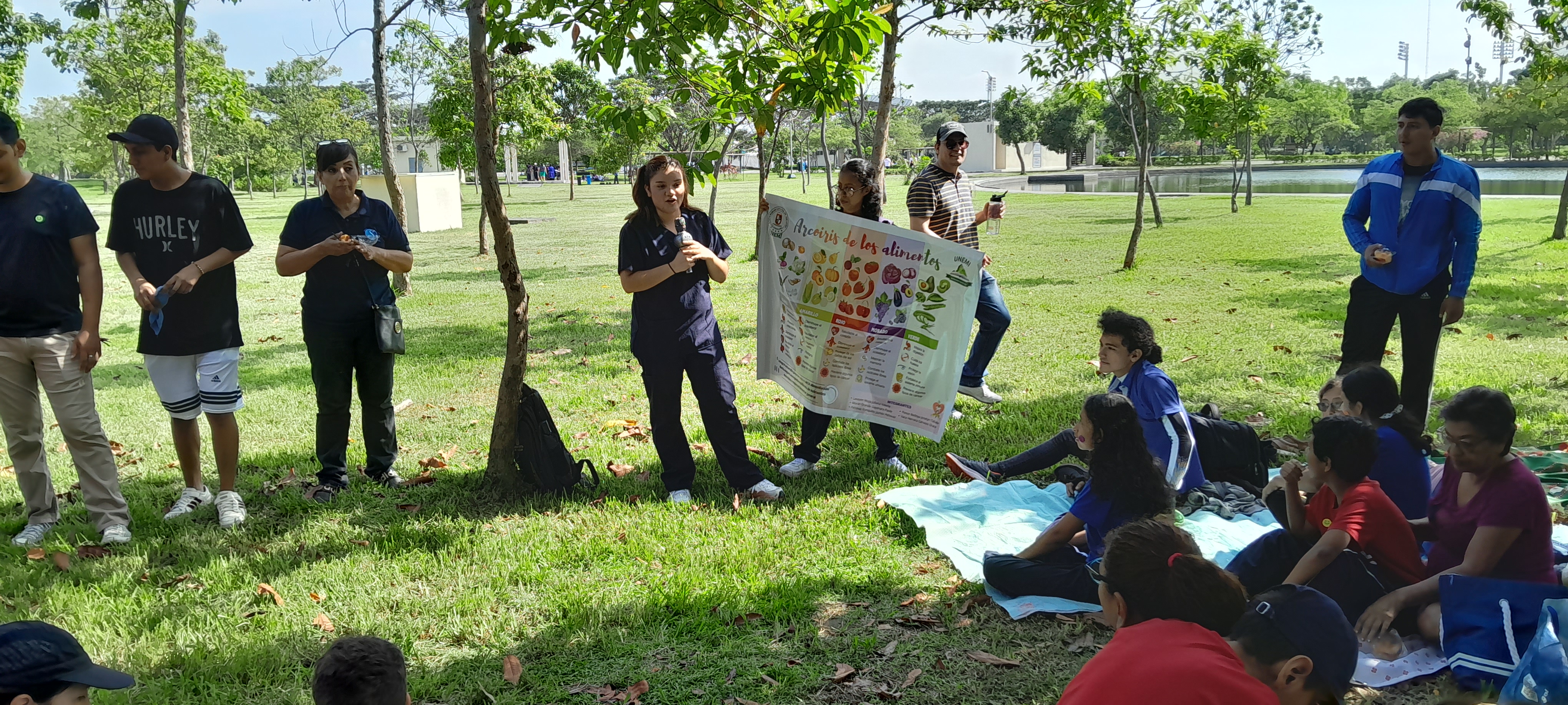 Imagen 6